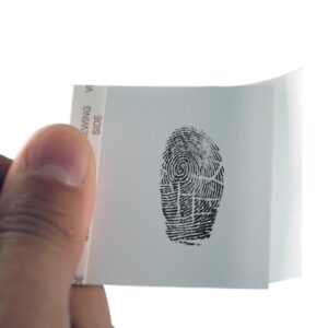 CINTA DE ELEVACIÓN